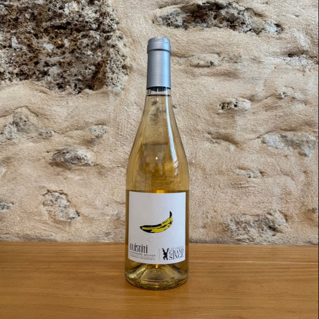 Ouistiti blanc