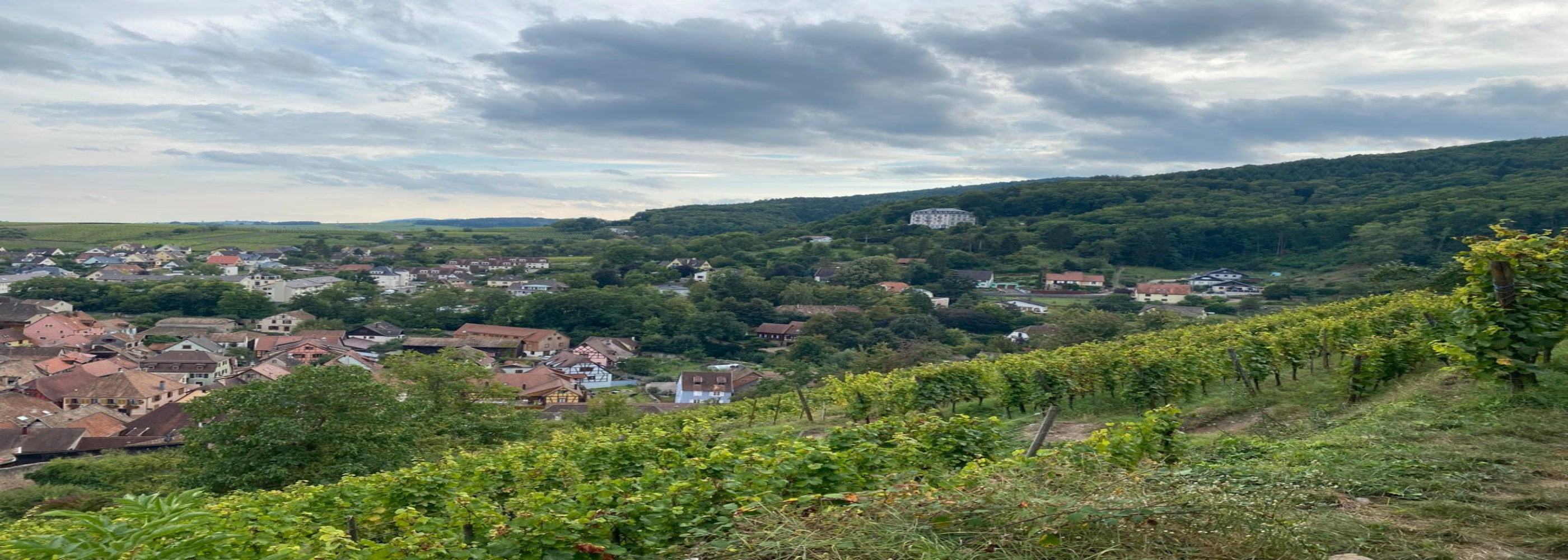 Domaine Tack&Glou - Elisa Klur