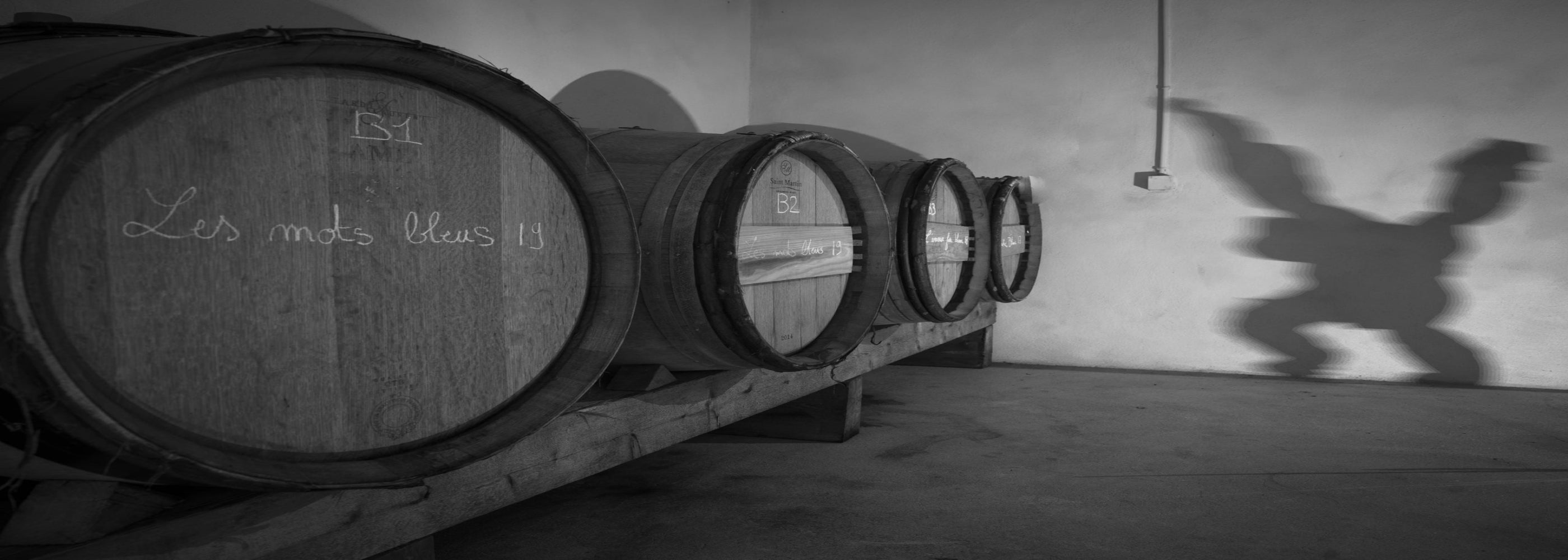 Domaine du grand singe