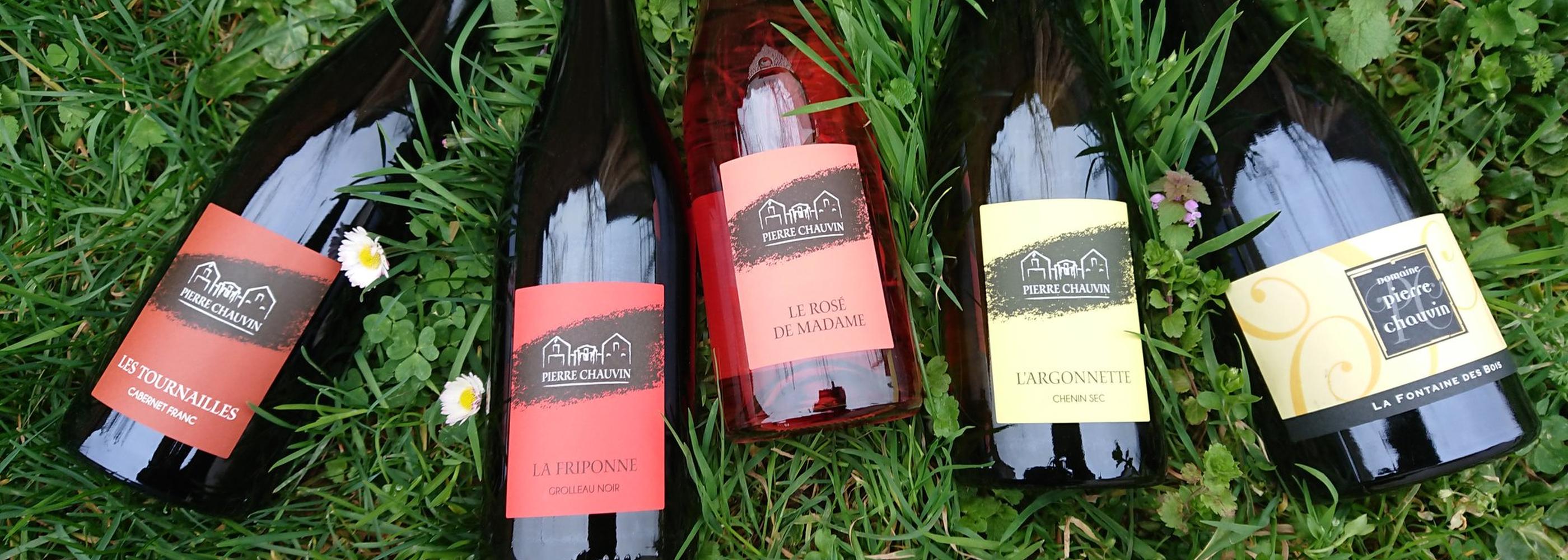 Domaine Pierre chauvin